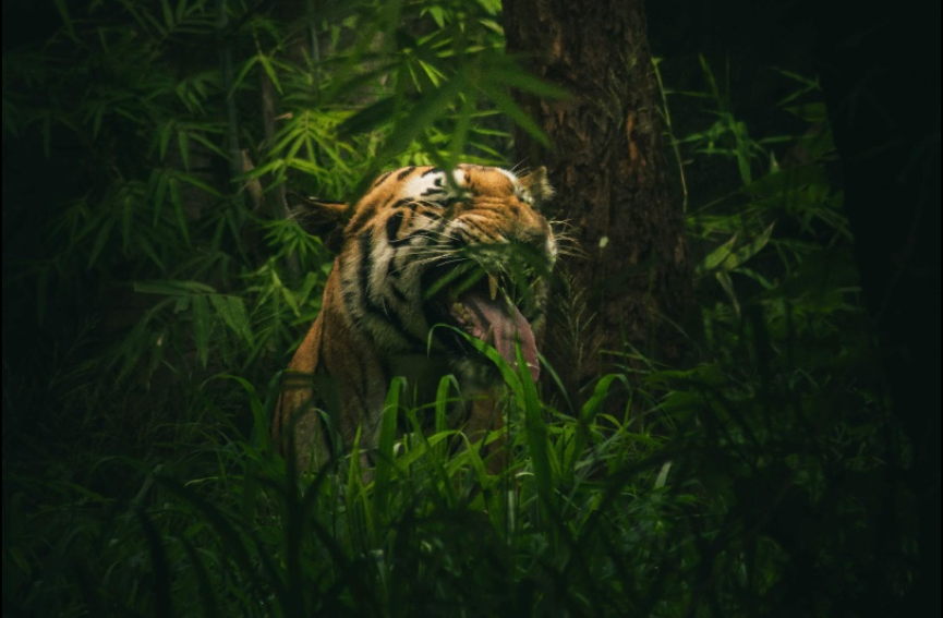 Santorini Island's Weekend Vacation